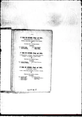 Fotogramma D 12