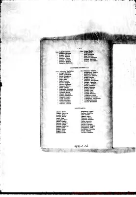 Fotogramma C 12
