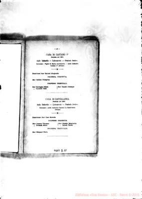 Fotogramma D 11