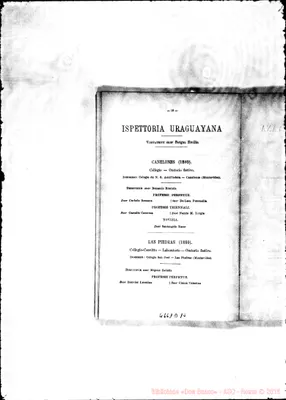 Fotogramma D 10