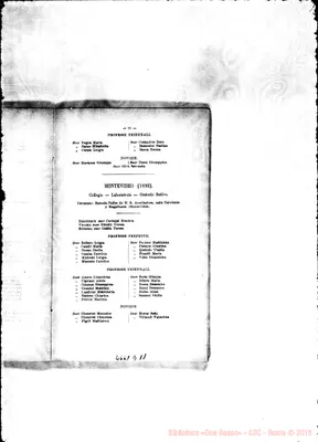Fotogramma D 11