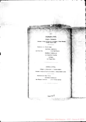 Fotogramma E 8
