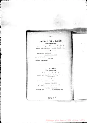 Fotogramma D 5