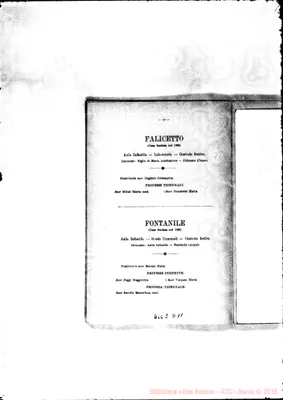 Fotogramma D 11