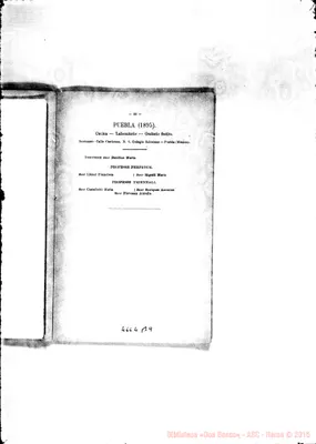 Fotogramma B 9