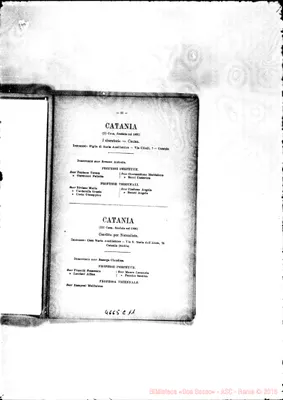 Fotogramma C 11