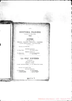 Fotogramma D 3