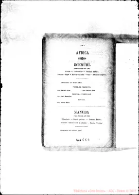 Fotogramma E 4