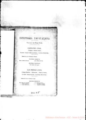 Fotogramma B 8