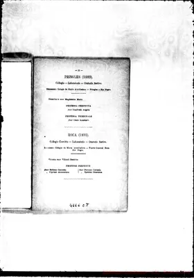 Fotogramma C 8