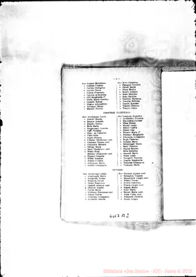 Fotogramma B 2