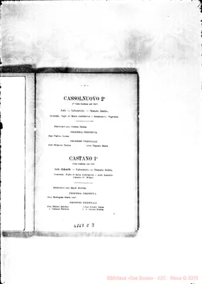 Fotogramma C 3