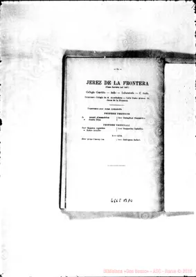 Fotogramma B 10