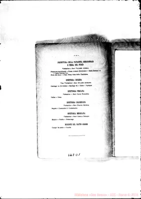 Fotogramma D 1