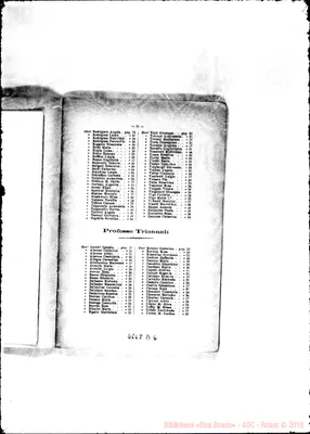 Fotogramma D 6