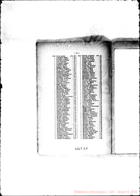 Fotogramma D 7
