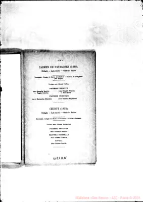 Fotogramma D 11