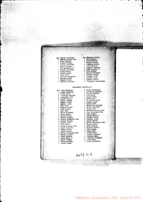 Fotogramma D 3