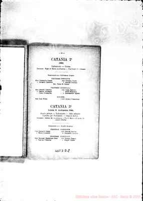 Fotogramma D 2