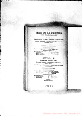 Fotogramma D 9