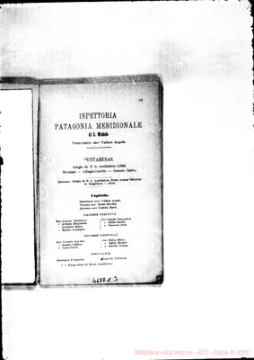 Fotogramma C 3