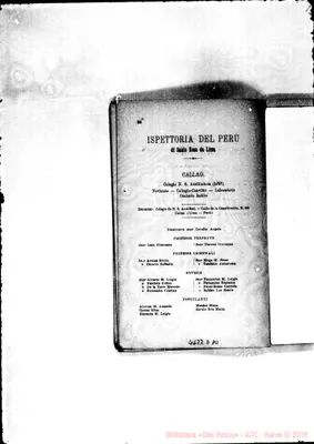 Fotogramma D 10