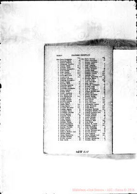 Fotogramma B 11