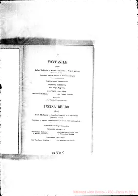 Fotogramma D 5