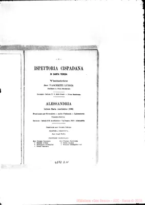 Fotogramma D 11