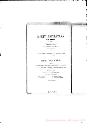 Fotogramma B 6