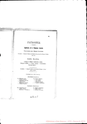 Fotogramma D 5