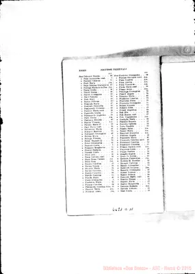 Fotogramma D 11