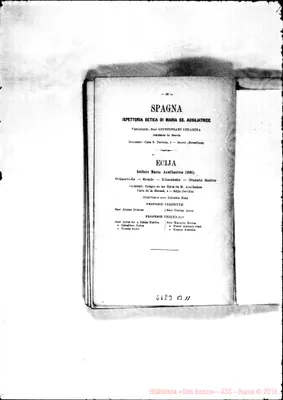 Fotogramma B 11