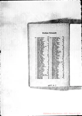 Fotogramma B 2