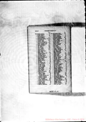 Fotogramma B 10