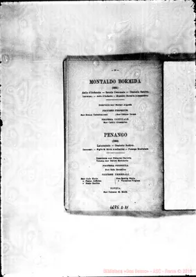 Fotogramma D 11