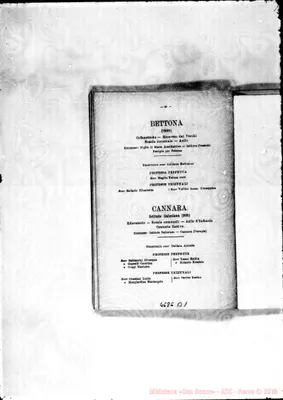 Fotogramma B 1
