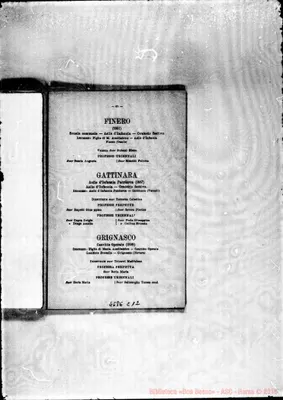 Fotogramma C 12