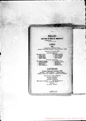Fotogramma D 7