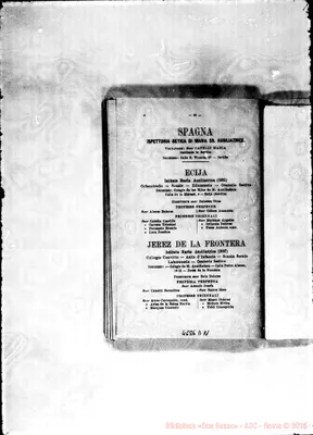 Fotogramma D 11