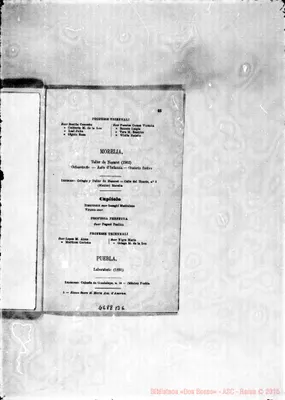 Fotogramma B 6