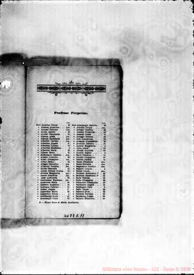 Fotogramma C 11