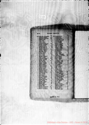 Fotogramma C 12