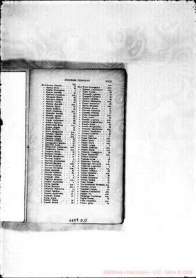 Fotogramma D 11