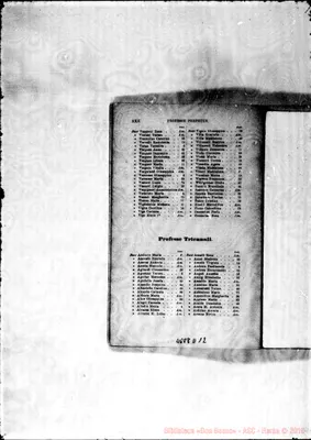 Fotogramma D 12
