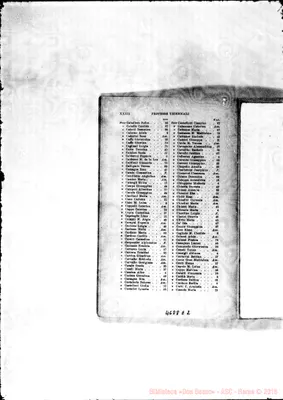Fotogramma E 2