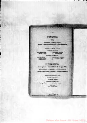 Fotogramma B 11