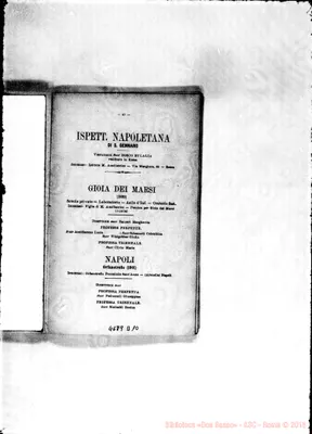 Fotogramma D 10