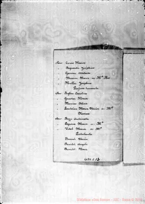 Fotogramma C 12