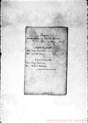 Fotogramma D 12